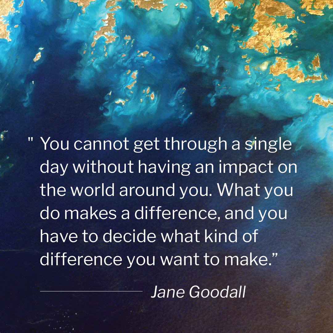 23_06_29_plasticfreejuly_web1_1080x1080.png